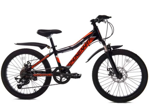 Xe đạp trẻ em Thống Nhất MTB - 04 20 inch
